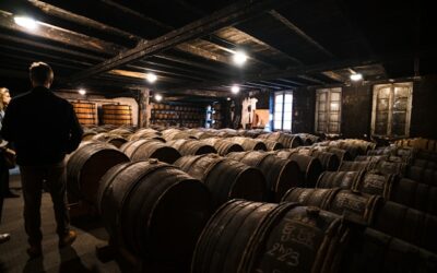 Cognac from Poitiers: Complete Brandy Capital Day Trip Guide