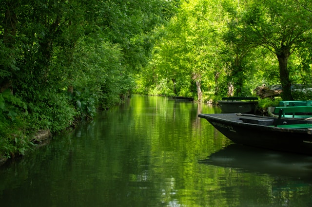 greenvenice marais poitevin greenvenice marais poitevin